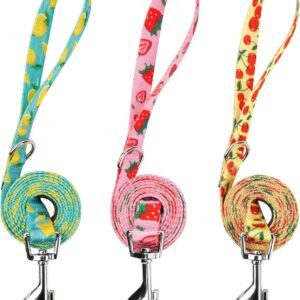 3 Pack Fruit Design Nylon Dog Leashes Strong & Durable Basic Dog Leash with Easy to Use Collar Hook for Large Dogs, L (4FT,1")