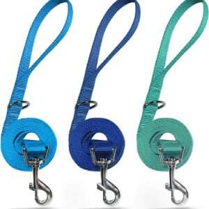 3 Pack Nylon Dog Leashes,Strong & Durable Basic Style Leash with Easy to Use Collar Hook,Available in Multiple Lengths for Puppy Small Dogs, Royal Blue/Blue/Green
