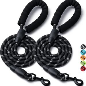 2 Pack Dog Leash, 4/5//6 FT Heavy Duty Nylon Rope Pet Leashes with Comfortable Padded Handle, Reflective Dog Leashes for Small Medium and Large Dogs (6FT-1/2,Black/Black)